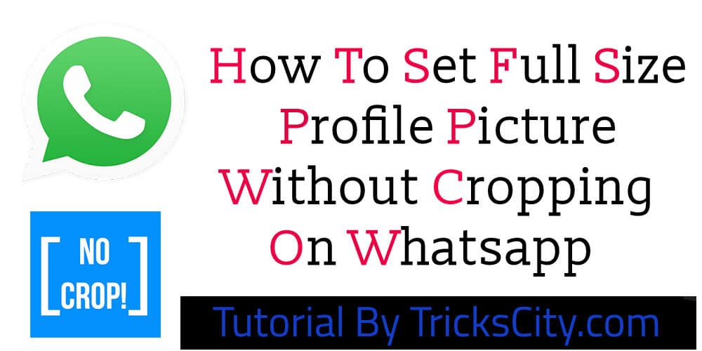 set-whatsapp-profile-picture-without-cropping
