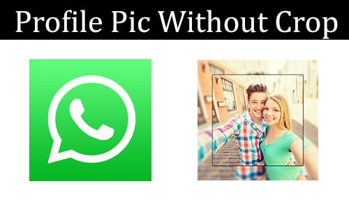 use-whatsapp-profile-picture-without-cropping-on-whatsapp
