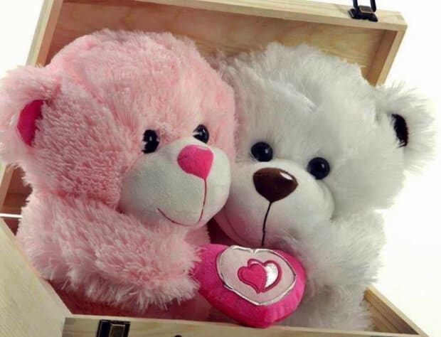 cute-teddy-bear-dp-for-whatsapp-fb