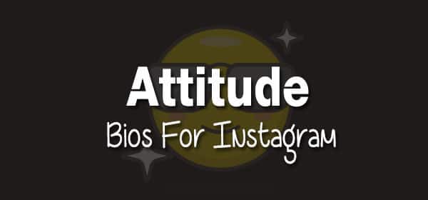 Bio For Instagram For Boy Attitude In English