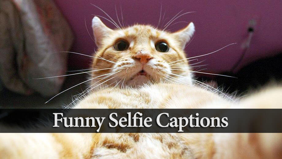 funny-selfie-captions